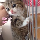 家族決定しました。