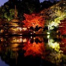 11/26(土)紅葉お散歩会