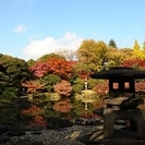 11/26(土)紅葉お散歩会 - 友達