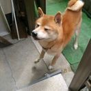 よろしくお願いします