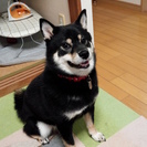 新しい家族が決まりました。