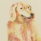 絵の個人指導・添削をします。の画像