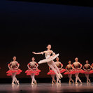 【クラシックバレエ教室】ムク木の空間でお子様にクラシックバレエを習わせてみませんか？の画像