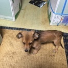 1月で2歳です。