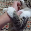 恵庭で