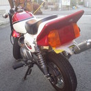 　ＣＢＸモンキー８８ｃｃの画像