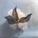 コサージュ 白の画像