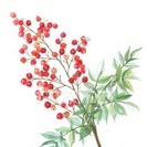 【時給1100円～1600円】登録ヘルパーさん大募集！！