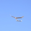 紙飛行機なんぞ、如何でしょうか？　一緒に飛ばしてみませんか？