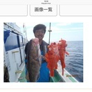 初心者の方に沖釣りお教えします。