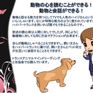 自分の過去世を癒す・願いを叶える未来予知～ｼｬｰﾏﾆｯｸﾊｲﾊﾟｰﾄﾗﾝｽ～の画像