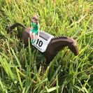 中山競馬場「有馬記念」競馬仲間募集中 - 友達