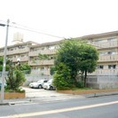 草刈り・剪定の補助・除草作業