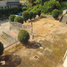 草刈り・剪定の補助・除草作業の画像