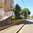 草刈り・剪定の補助・除草作業の画像