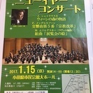 ニューイヤーコンサート情報