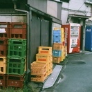 写真、カメラ友達！散歩友達募集！ - 友達