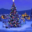 ✨🎄✨世界のX'mas✨🎄✨