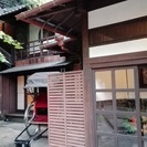 英語で散策：国家資格を持った通訳案内士と一緒に、日本の文化・歴史、英語表現を学びながら楽しく散策。ご案内は日本語です。箕面コースの画像