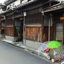 英語で散策：国家資格を持った通訳案内士と一緒に、日本の文化・歴史...