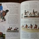 乗馬の英語本　Riding and Pony careの画像