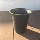 6号鉢の画像