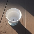 ちっちゃい鉢の画像