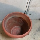 植木鉢　大　プラスチックの画像