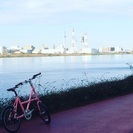 クロスバイクでサイクリング