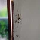 壁紙交換作業　経験者のみ
