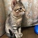 仲良し兄弟