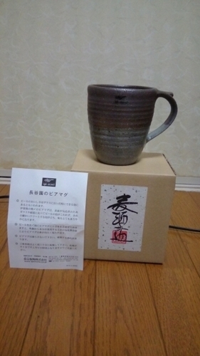 長谷園 ビアジョッキ 伊賀焼 新品 美術品 いぶし掛分 大