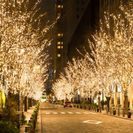 1月28日(1/28)  ★20代限定企画★丸の内イルミネーショ...