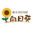【 向日葵 🌻1 周年記念 】3日間限定 ランチメニュー - 地元のお店