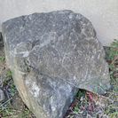 庭石差し上げます。の画像