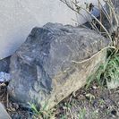 庭石差し上げます。の画像