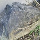 庭石差し上げます。の画像