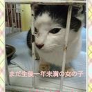 処分になるからレスキューしました