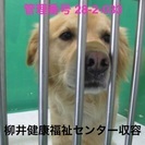 助けて下さい。