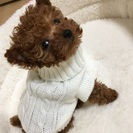 犬友募集🐩🐕普通のお友達も♡