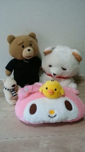 ぬいぐるみセット