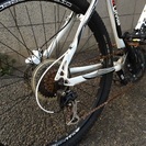Bianchi KUMA 5100   WHITE/GREY  ビアンキ クマ の画像