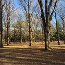 ギター、アコギ、都内公園で弾き語り