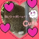 うさちゃんを語ろう会(o^^o)