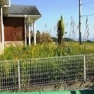 滋賀の便利屋ネコの手 - 近江八幡市