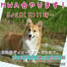 わんこの集まりします！
