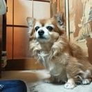 お願いします