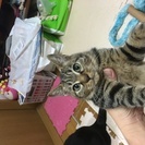 里親募集③