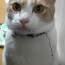 助けてください！