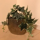 インテリア 花瓶 置物 フェイクの観葉植物つきの画像